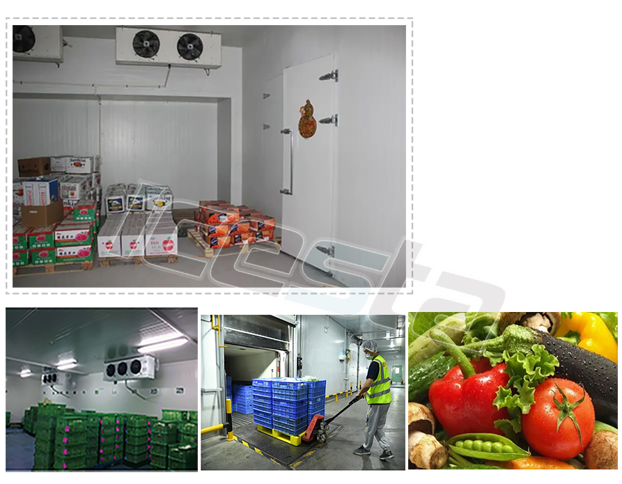Cold room Cold Storage Equipment Customized For Sale | ICESTA Ice System 28