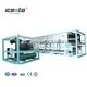 Direct Cooling Block Ice Machine - Aluminum Alloy Evaporator - Aquatic, Slaughter, Vegetable, Supermarket, Fishery. 2