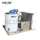 High-Quality Icesta Flake Ice Machine Maker 6