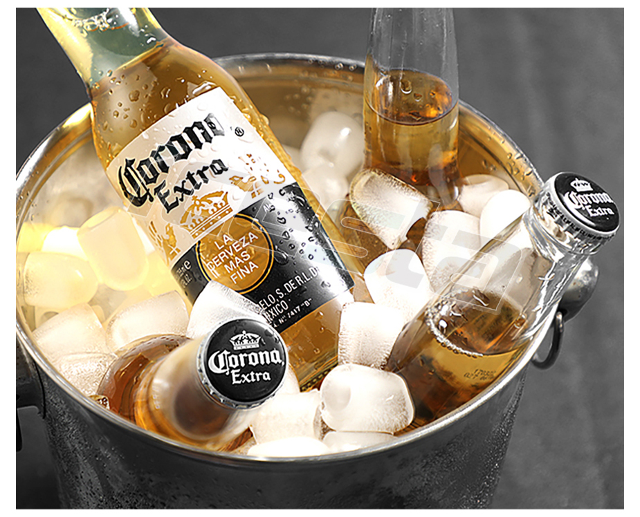 Home ice maker machine mini portable bullet ICESTA 29