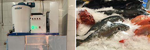 ICESTA  3 ton commercial flake ice machine with Quality Automatic Energy-saving High Productivity Long Service Life 21