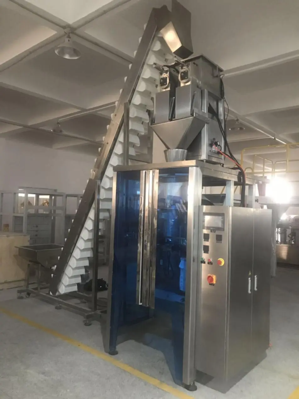 Full Automatic Vertical Ice Tube Packing Machine with Two Heads Screw Weighing Device 1