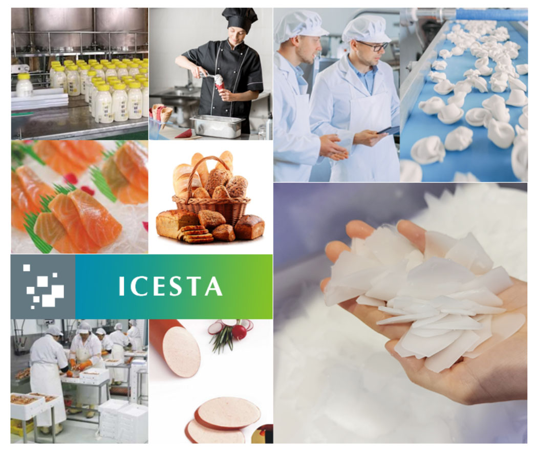 Customized Edible stainless steel flake ice machine 3-10 ton manufacturers From China | Brother Ice System 8