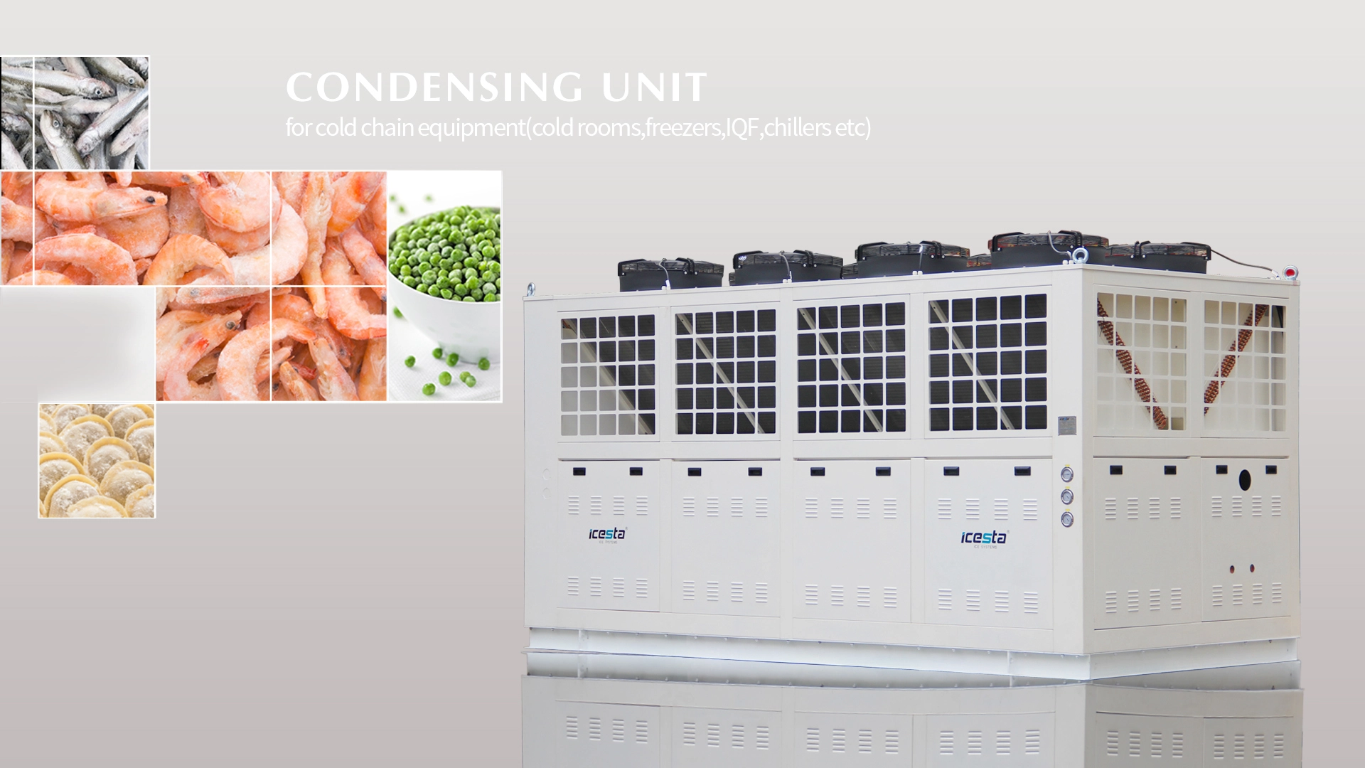 Contact horizontal freezer &amp; Condensing unit Low temp from ICESTA 1