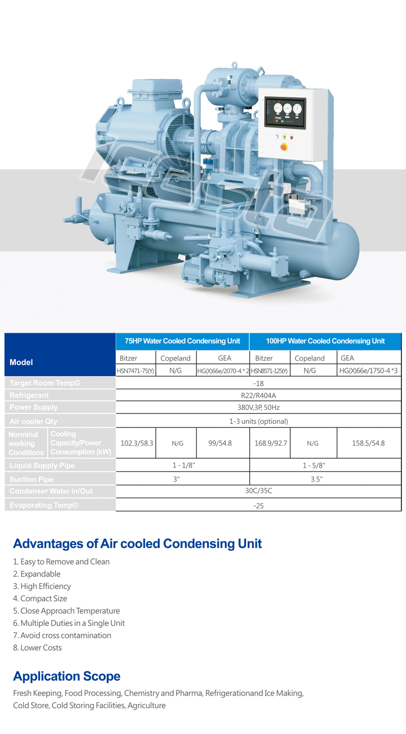Parallel Rack condensing unit from ICESTA 16