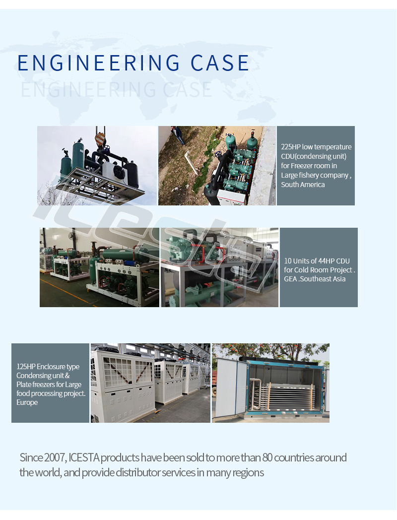 Parallel Rack condensing unit from ICESTA 24