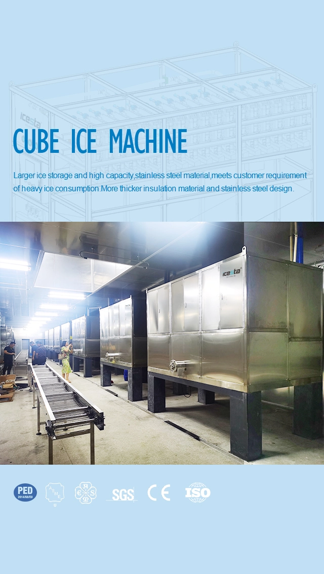 Automatic cube ice plant (5t X10) with full automatic ice packing &amp; delivery system 1