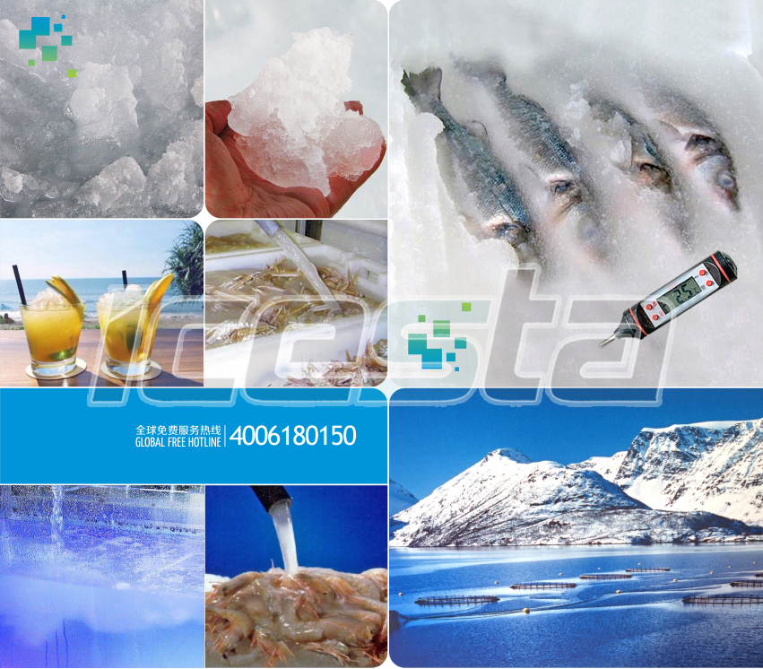 Intro to Comprehensive Large Capacity Containerized Slurry ice system Brother Ice System 2