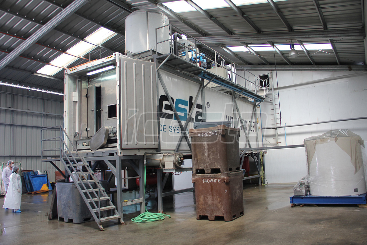 Seafood Processing 4