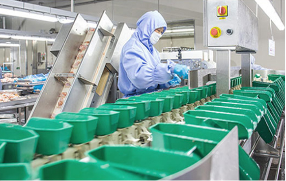 Poultry Slaughtering 3