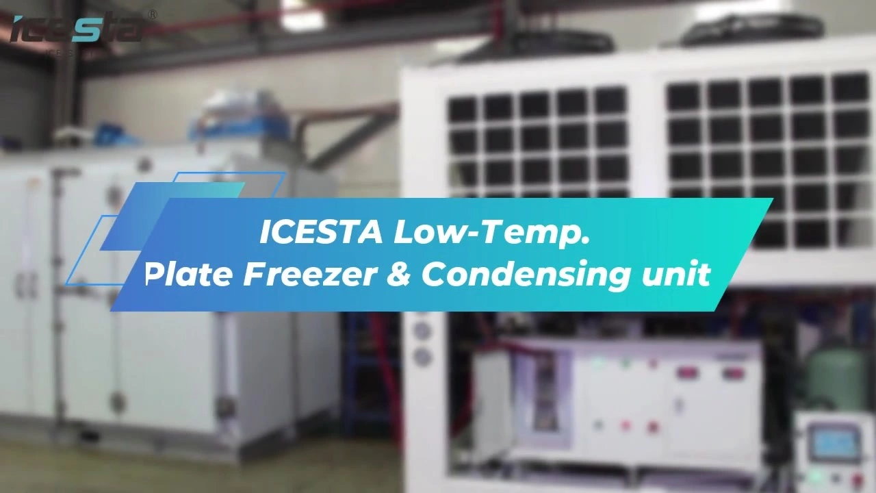 ICESTA Low-Temp.  Plate Freezer &amp; Condensing unit 1