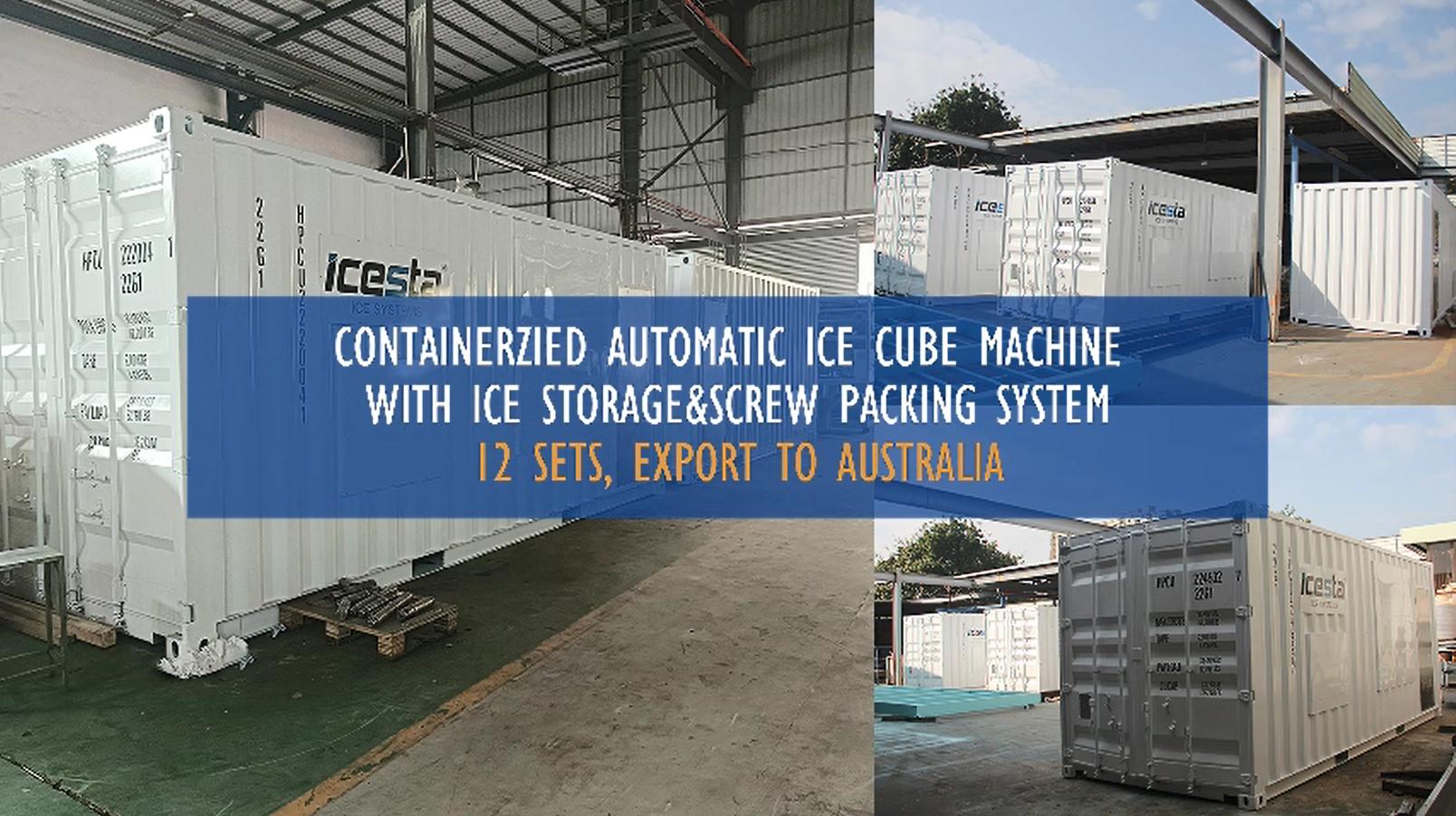 Containerzied Automatic Ice Cube Machine with Ice storage & Screw Packing system 12 sets, Export to Australia 1