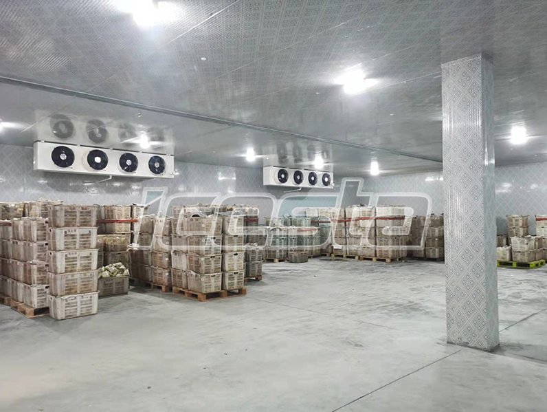 Cold room 50 ton per day from ICESTA 7