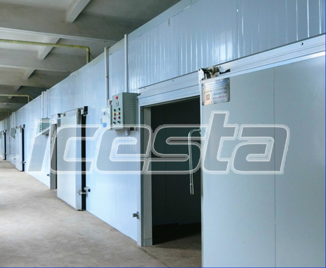 Cold room 50 ton per day from ICESTA 9