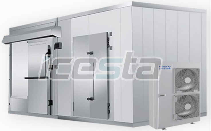 Cold room 50 ton per day from ICESTA 5