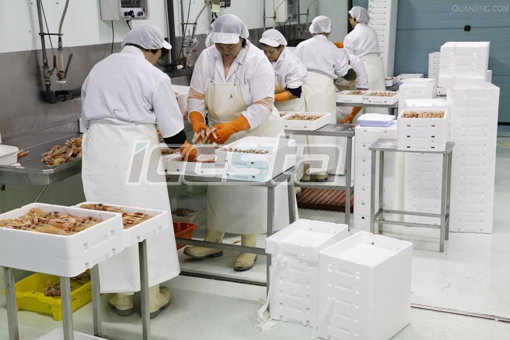 Cold room 50 ton per day from ICESTA 3