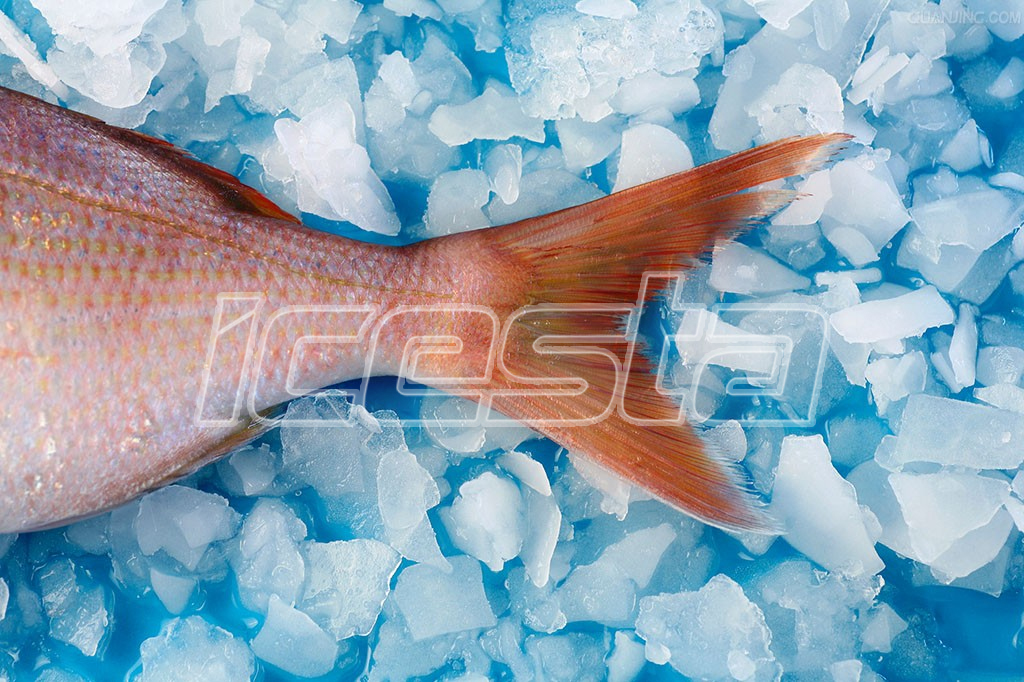 ICESTA Containerized Flake ice plant storage & Delivery system 2