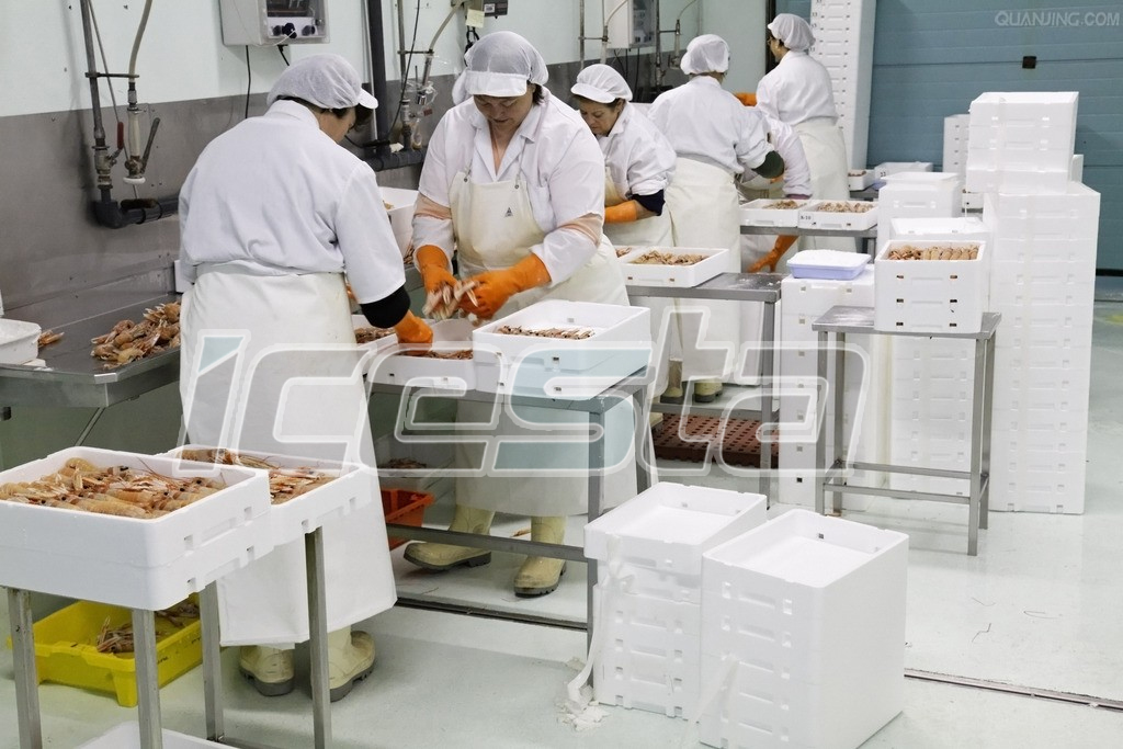 ICESTA Containerized Flake ice plant storage & Delivery system 4