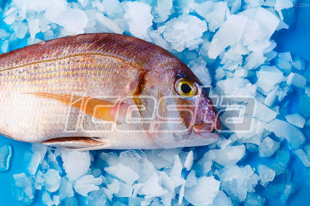 ICESTA Containerized Flake ice plant storage & Delivery system 1