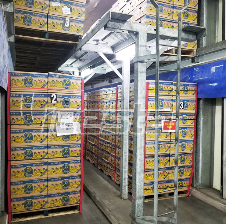 Blast freezer&Tunnel Freezer& Cold room from ICESTA 5