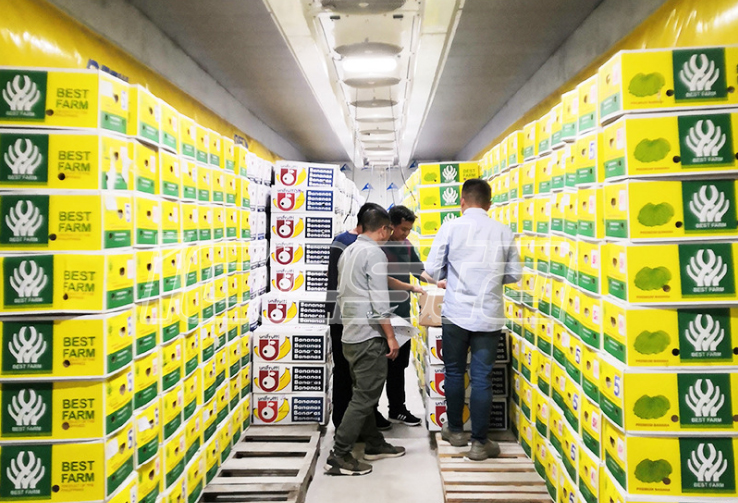 Blast freezer&Tunnel Freezer& Cold room from ICESTA 4