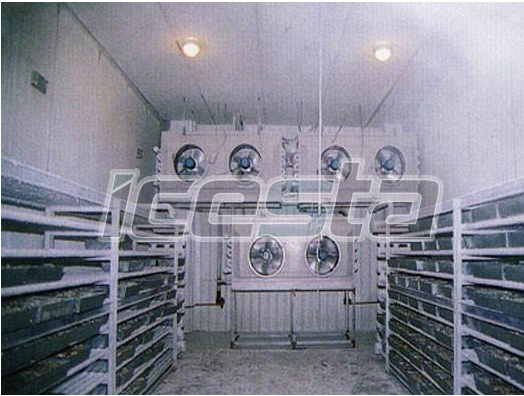 Blast freezer&Tunnel Freezer& Cold room from ICESTA 11