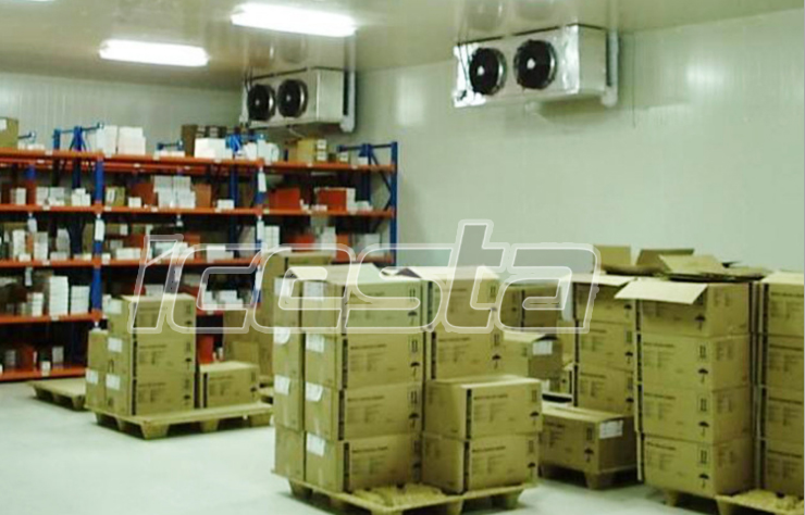 Blast freezer&Tunnel Freezer& Cold room from ICESTA 10