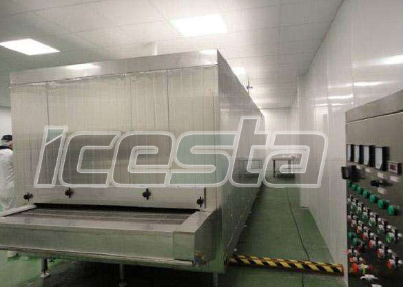 Blast freezer&Tunnel Freezer& Cold room from ICESTA 20