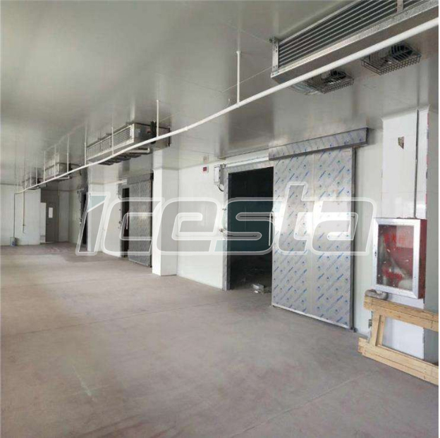 Blast freezer&Tunnel Freezer& Cold room from ICESTA 19