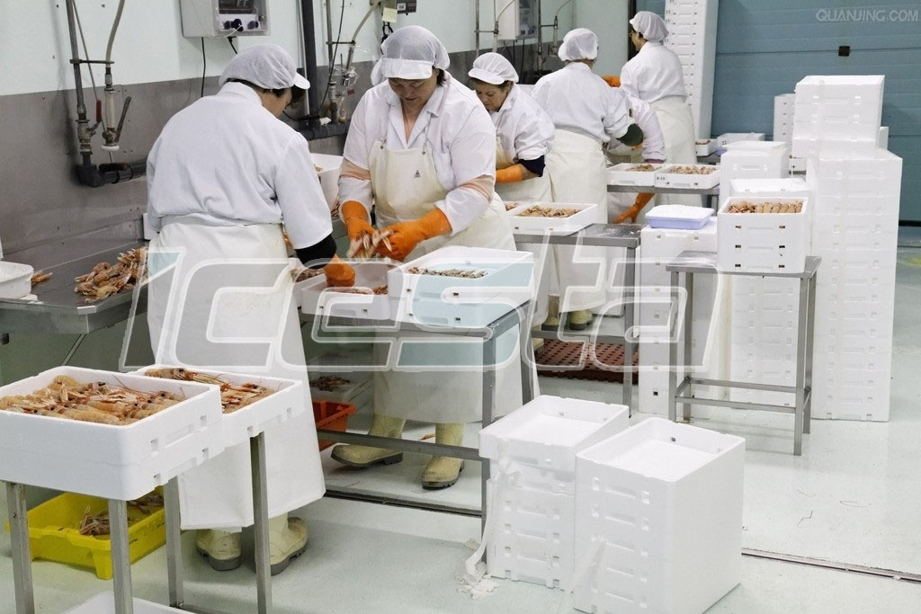 Block Ice Factory Solution from ICESTA 5