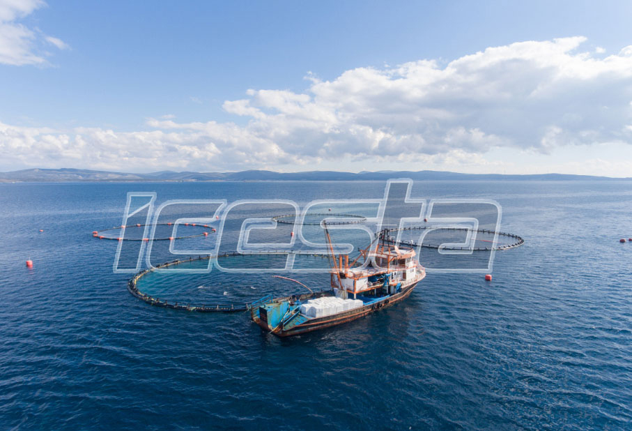 Block Ice Factory Solution from ICESTA 6