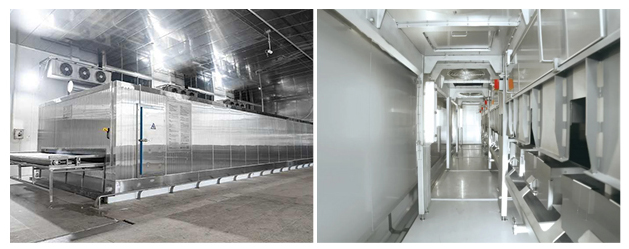 Tunnel Freezer with Iqf Processing Line Automic Cryogenic Durian Quick Freeze For Food Processing Industry 15