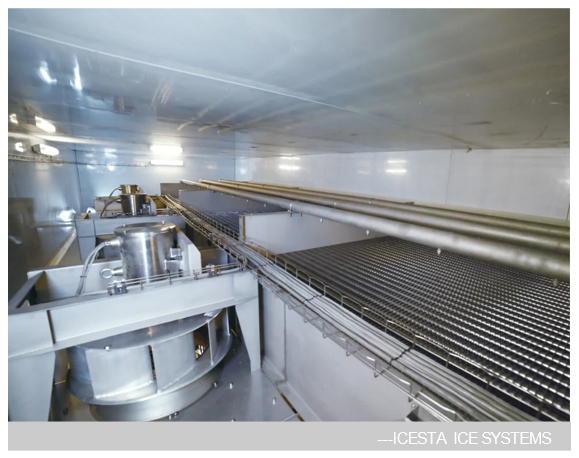 Tunnel Freezer with Iqf Processing Line Automic Cryogenic Durian Quick Freeze For Food Processing Industry 11