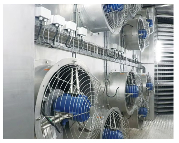 Industrial Single Spirals Freezer Automatic High Capacity High Efficiency Low Temperature for Frozen Fish Meat Dumpling 18