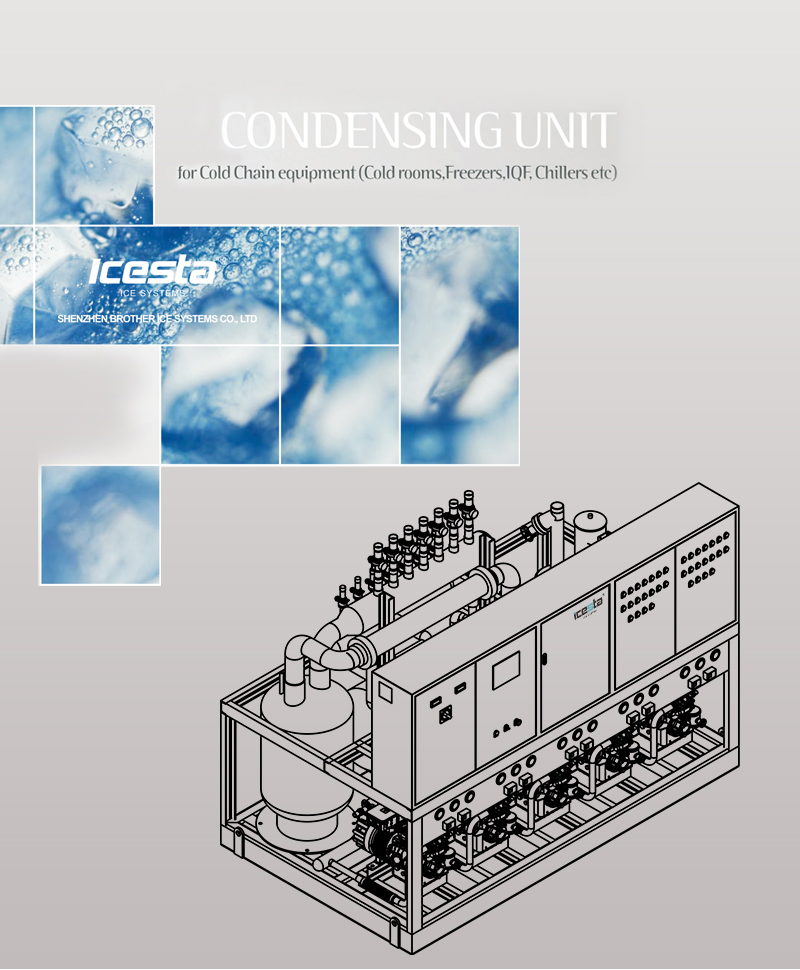 Condensing unit Industrial Parallel piston compressor With big 210hp Air Cooling Stainless Steel for Food processing 6