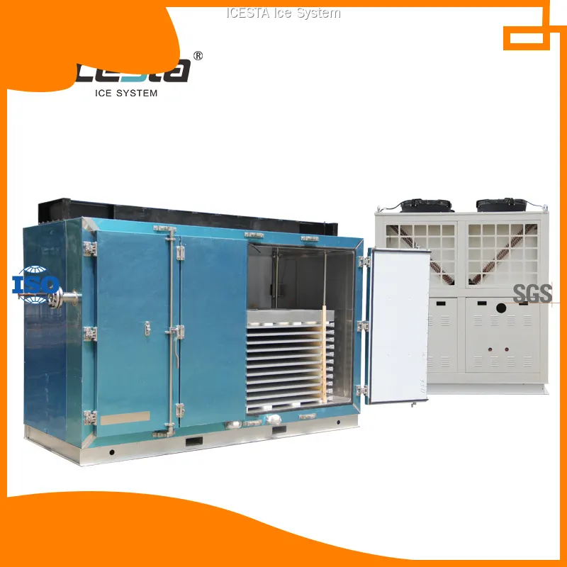 Square Plate Freezer - Ideal for Fish, Meat, and Vegetables 1