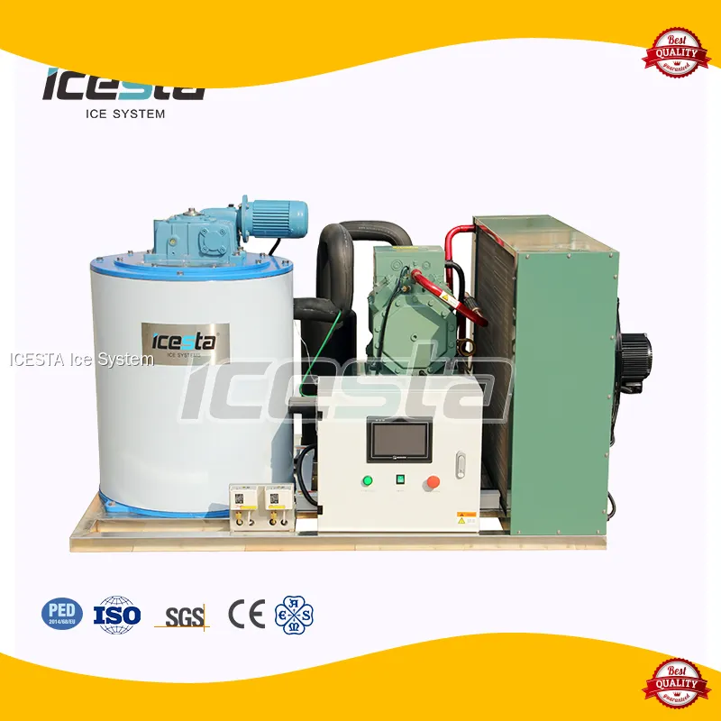 Commercial 5-ton Flake Ice Maker by ICESTA 1