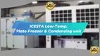 ICESTA Plate Freezer & Condensing Unit - Ideal for Cold Chain Storage 1