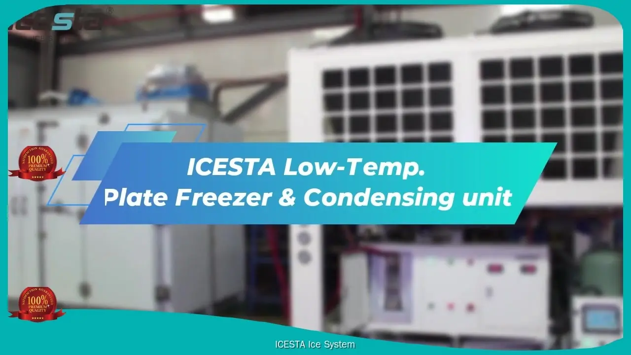 ICESTA Low-Temp. Plate Freezer for Efficient Cold Chain Management 1