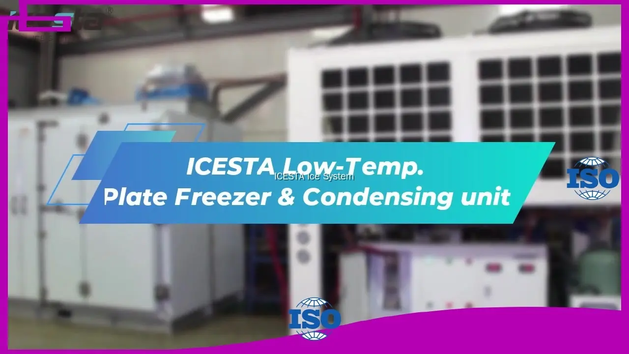 Low-Temp. Plate Freezer with Condensing Unit for Cold Chain System 1