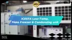 ICESTA Low-Temp Plate Freezer & Condensing Unit for Efficient Cold Chain System 1
