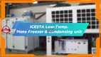 ICESTA Low-Temp. Plate Freezer & Condensing Unit - Top Choice for Cold Chain System 1