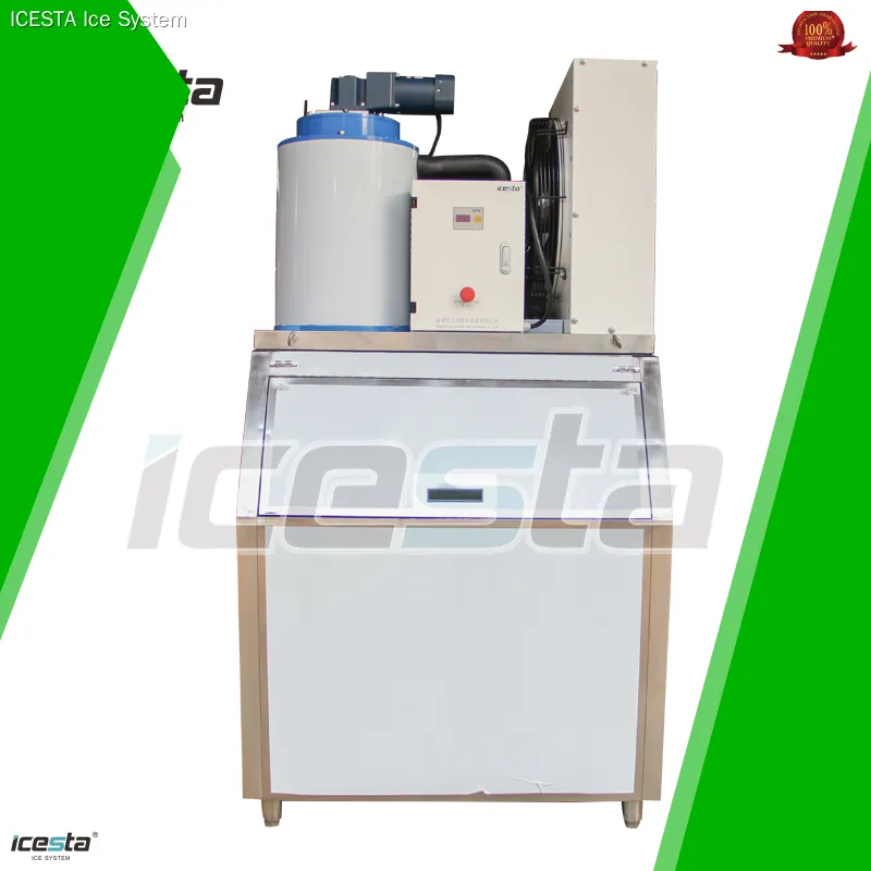 Icesta  Flake Ice Machines (300kg - 1ton) - Customizable Options 1