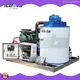 Commercial Flake Ice Machine for Sale - Superior Performance & Quality 1
