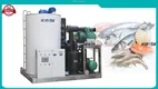 ICESTA Industrial Flake Ice Machine – Customizable, Reliable, High Quality 1