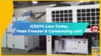 ICESTA Low-Temp. Plate Freezer & Condensing Unit for Cold Chain Management 1
