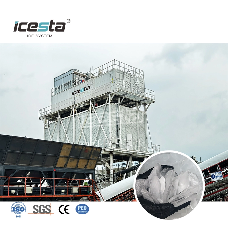 مصنع ثلج مُعبأ في حاويات، سعة 30 طن، متكامل مع نظام تخزين وتوصيل آلي لتبريد الخرسانة - ICESTA 1
