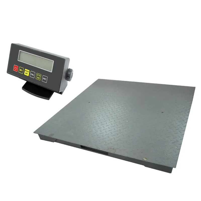 Single Deck Floor Scale with Ramp 2