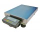 Precision Weighing Platform Scale