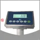 Custom indicator weight for wholesale Manufacturer | W&J 1